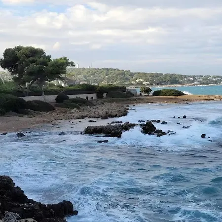 Olimp In Super Cannes With Sea View * Le Cannet