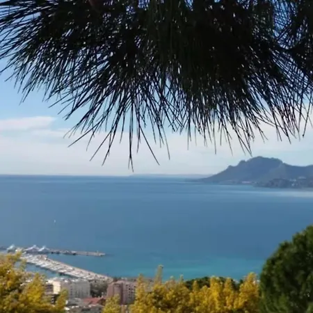 Villa Olimp In Super Cannes With Sea View Le Cannet