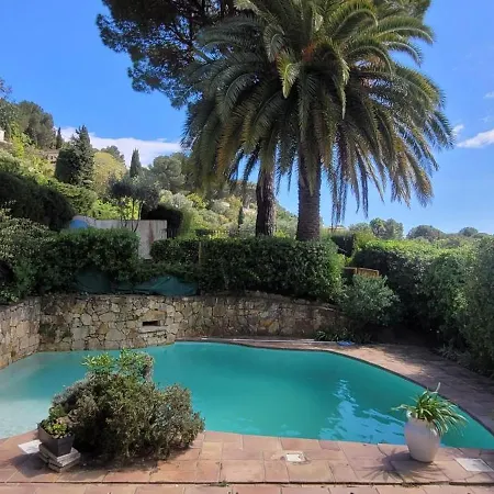 Olimp In Super Cannes With Sea View Le Cannet